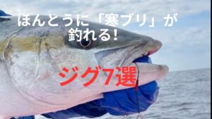冬の寒ブリが爆釣する！本当に釣れるメタルジグ7選！