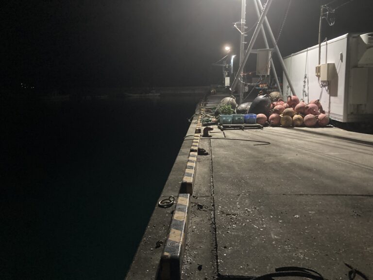 宮城県 石巻市 牡鹿半島(東側) 飯子浜漁港 釣り場ポイント案内