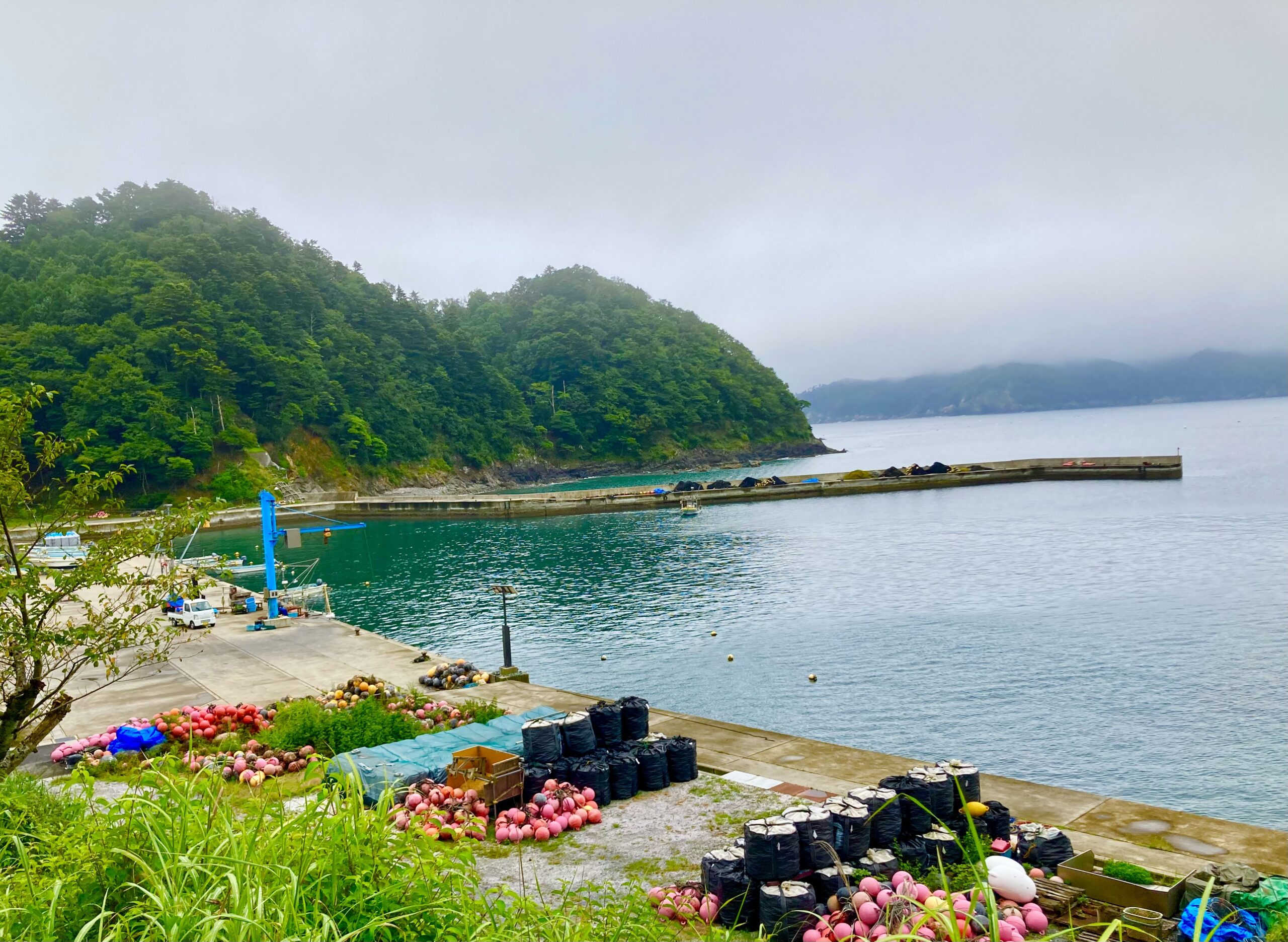 宮城県 石巻市 牡鹿半島（東側）前網漁港 釣りスポット案内