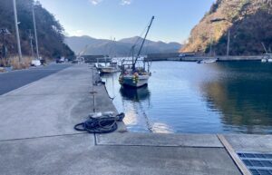 宮城県 石巻市 牡鹿半島 鮫浦漁港(さめうら)の釣り場スポット完全ガイド 隠れた名所で狙える釣りの基本情報