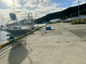 宮城県 石巻市 牡鹿半島(西側)荻浜漁港で楽しむ!釣り場ポイント紹介 アイナメ アオリイカ