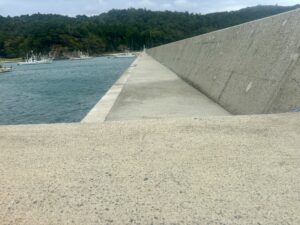 宮城県 石巻市 牡鹿半島 福貴浦漁港(ふくきうら)の釣り場ポイント イカ狙える!