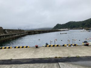 宮城県 石巻市 牡鹿半島(東側)寄磯漁港 (よりいそ)釣り場ポイント紹介 常夜灯ありの人気釣り場