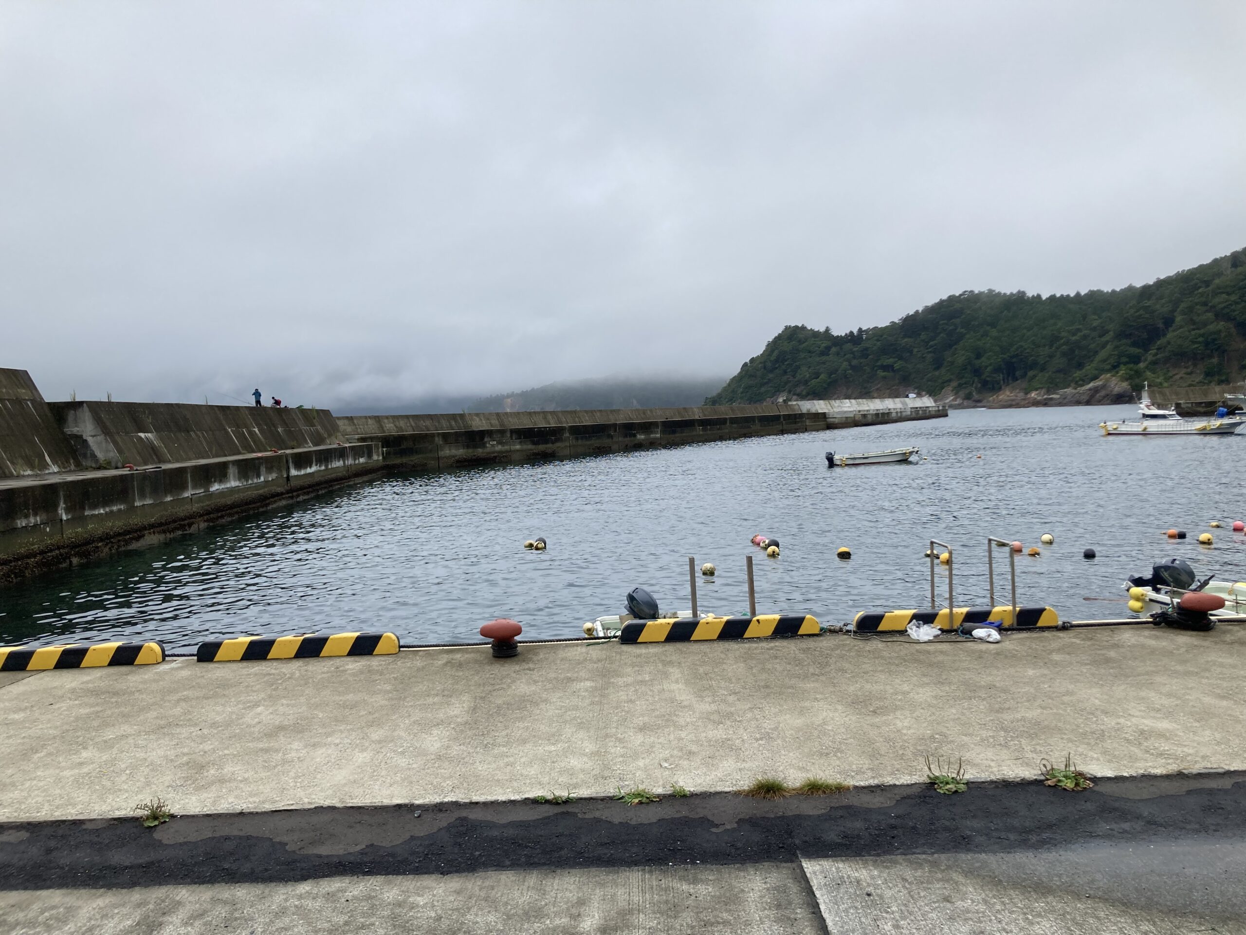 宮城県 石巻市 牡鹿半島（東側）寄磯漁港 （よりいそ）釣りポイント紹介 常夜灯ありの人気釣り場