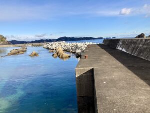 宮城県 石巻市 牡鹿半島（東側）泊漁港 （とまり）釣り場ポイント紹介