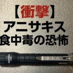 【実録】恐怖のアニサキス体験記と津本式アニサキスライトを徹底レビュー