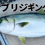寒ブリジギング完全ガイド 冬の日本海で夢の大物を狙え!おすすめタックルと実践テク