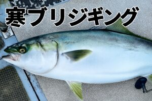 寒ブリジギング完全ガイド 冬の日本海で夢の大物を狙え！おすすめタックルと実践テク