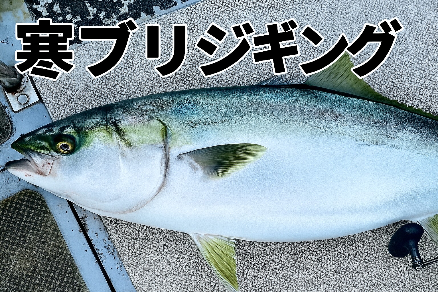 寒ブリジギング完全ガイド 冬の日本海で夢の大物を狙え!おすすめタックルと実践テク