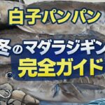 冬のマダラジギング完全ガイド｜根がかり回避の最強テクニックから釣果を伸ばす実践ノウハウ