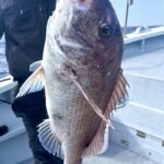 2026年 タイラバで真鯛が爆釣！ 春のっこみシーズンのパターン別テクニック