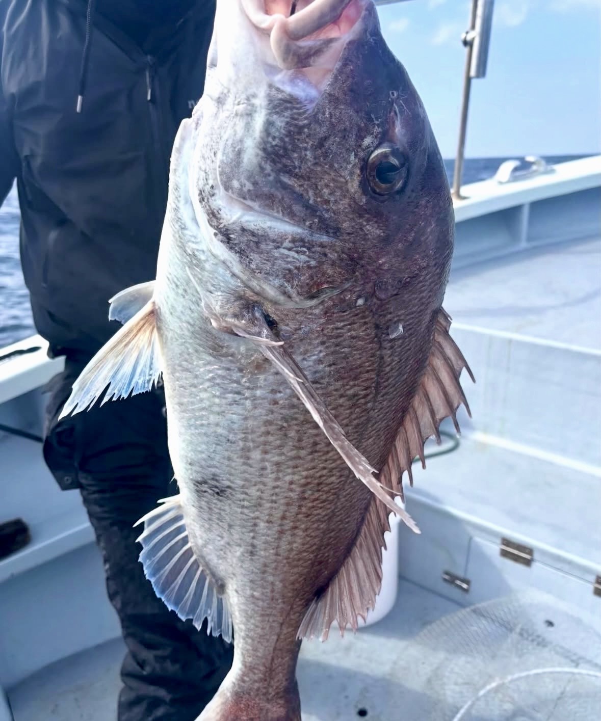 2026年 タイラバで真鯛が爆釣! 春のっこみシーズンのパターン別テクニック