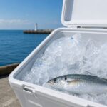 海釣りのクーラーボックスに氷は何kg必要?容量・気温・時間別早見表