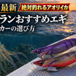 2026年最新！アオリイカが絶対に釣れる！ティップランおすすめエギ・号数・シンカーの選び方
