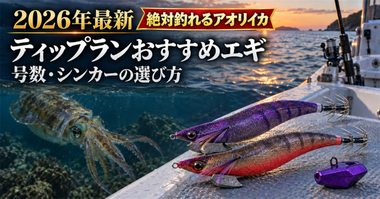 2026年最新！アオリイカが絶対に釣れる！ティップランおすすめエギ・号数・シンカーの選び方